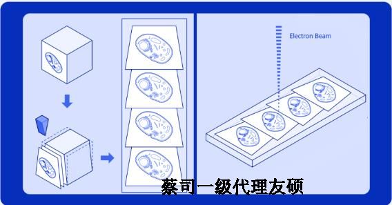 广元蔡司广元扫描电镜