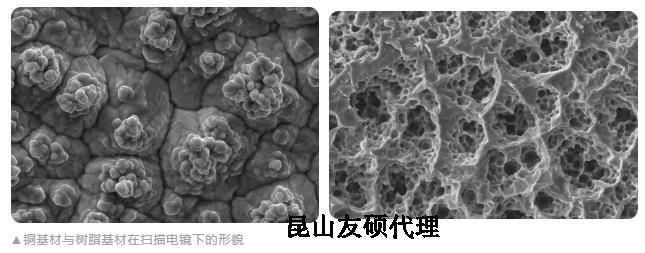 广元蔡司广元扫描电镜