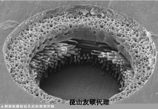 广元蔡司广元扫描电镜